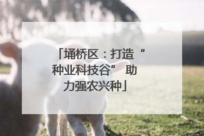 埇桥区：打造“种业科技谷” 助力强农兴种