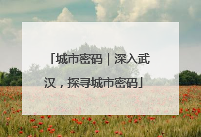 城市密码｜深入武汉，探寻城市密码