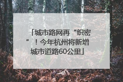 城市路网再“织密”！今年杭州将新增城市道路60公里