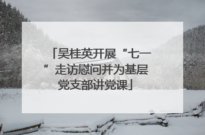 吴桂英开展“七一”走访慰问并为基层党支部讲党课