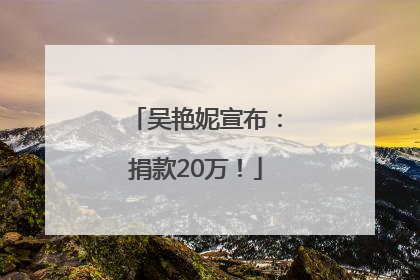 吴艳妮宣布：捐款20万！