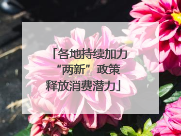 各地持续加力“两新”政策 释放消费潜力