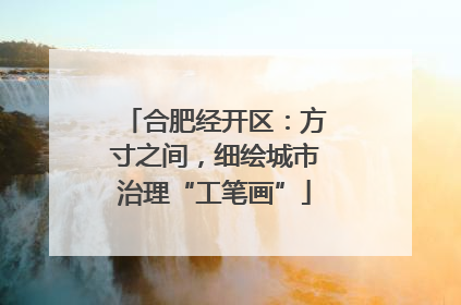 合肥经开区：方寸之间，细绘城市治理“工笔画”