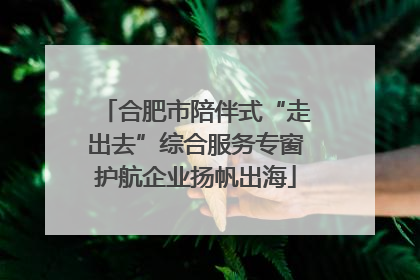 合肥市陪伴式“走出去”综合服务专窗护航企业扬帆出海