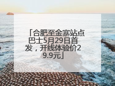 合肥至金寨站点巴士5月29日首发，开线体验价29.9元