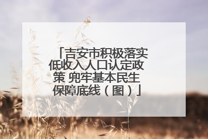 吉安市积极落实低收入人口认定政策 兜牢基本民生保障底线（图）