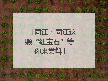 同江：同江这颗“红宝石”等你来尝鲜