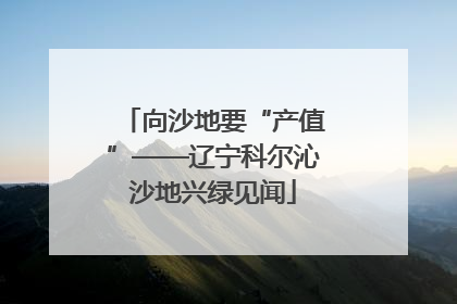 向沙地要“产值”——辽宁科尔沁沙地兴绿见闻