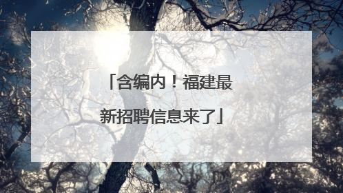 含编内！福建最新招聘信息来了