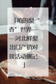 咱的梨“香”世界——河北鲜梨出口产销对接活动侧记