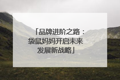 品牌进阶之路：袋鼠妈妈开启未来发展新战略
