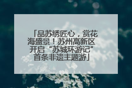 品苏绣匠心，赏花海盛景！苏州高新区开启“苏城环游记”首条非遗主题游