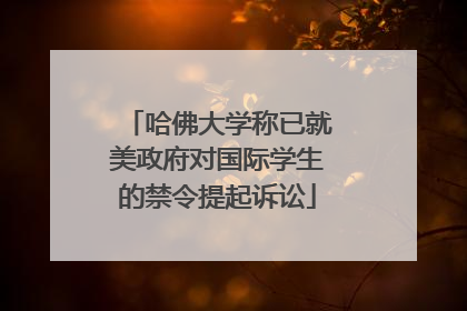 哈佛大学称已就美政府对国际学生的禁令提起诉讼