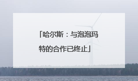 哈尔斯：与泡泡玛特的合作已终止