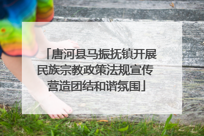 唐河县马振抚镇开展民族宗教政策法规宣传 营造团结和谐氛围
