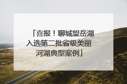 喜报！聊城望岳湖入选第二批省级美丽河湖典型案例