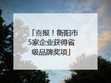 喜报！衡阳市5家企业获得省级品牌奖项