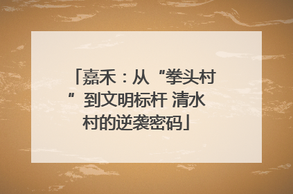 嘉禾：从“拳头村”到文明标杆 清水村的逆袭密码