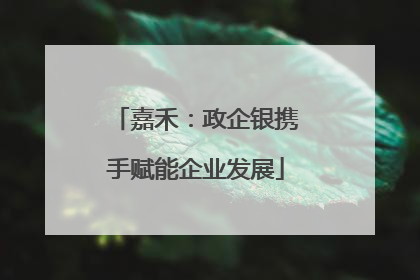 嘉禾：政企银携手赋能企业发展