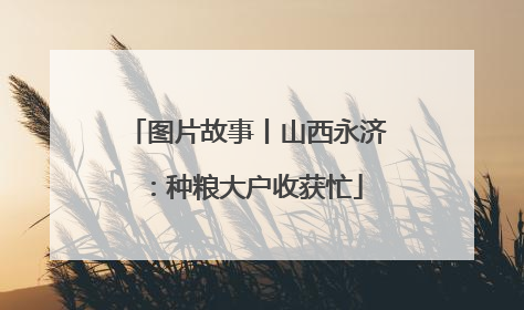 图片故事丨山西永济：种粮大户收获忙