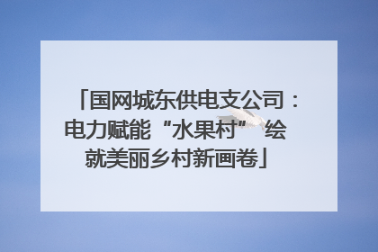 国网城东供电支公司：电力赋能“水果村” 绘就美丽乡村新画卷