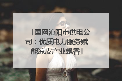 国网沁阳市供电公司：优质电力服务赋能凉皮产业飘香