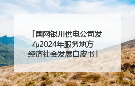 国网银川供电公司发布2024年服务地方经济社会发展白皮书
