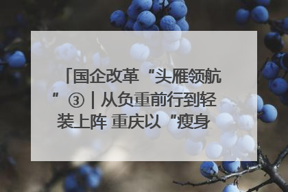 国企改革“头雁领航”③｜从负重前行到轻装上阵 重庆以“瘦身”谋“健体”