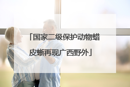 国家二级保护动物蜡皮蜥再现广西野外