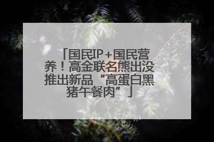 国民IP+国民营养！高金联名熊出没推出新品“高蛋白黑猪午餐肉”