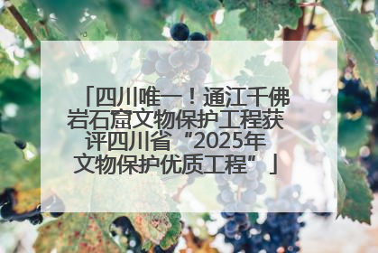 四川唯一！通江千佛岩石窟文物保护工程获评四川省“2025年文物保护优质工程”