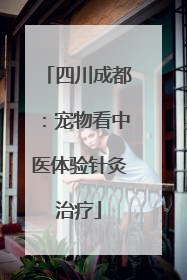 四川成都：宠物看中医体验针灸治疗