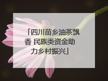 四川苗乡油茶飘香 民族类资金助力乡村振兴