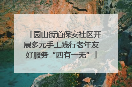 园山街道保安社区开展多元手工践行老年友好服务“四有一无”