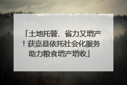 土地托管、省力又增产！获嘉县依托社会化服务助力粮食增产增收