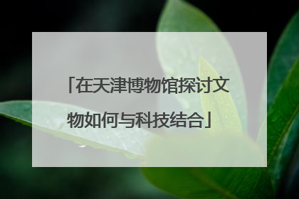 在天津博物馆探讨文物如何与科技结合