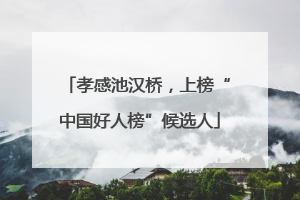 孝感池汉桥，上榜“中国好人榜”候选人