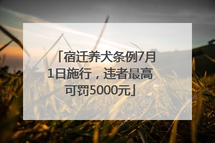 宿迁养犬条例7月1日施行，违者最高可罚5000元