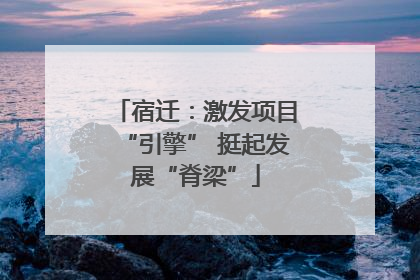 宿迁：激发项目“引擎” 挺起发展“脊梁”