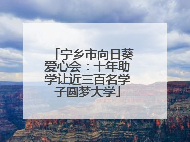 宁乡市向日葵爱心会：十年助学让近三百名学子圆梦大学