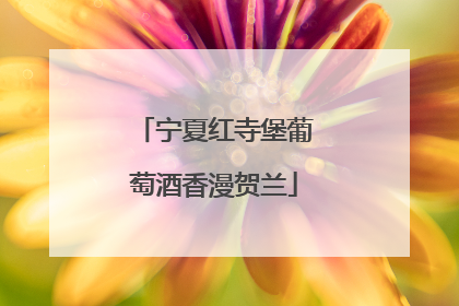 宁夏红寺堡葡萄酒香漫贺兰