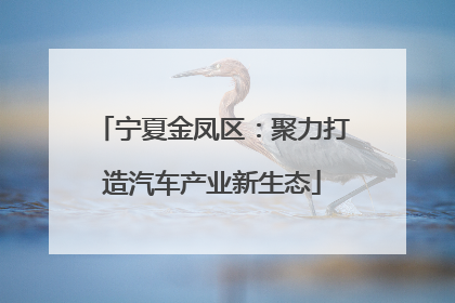 宁夏金凤区：聚力打造汽车产业新生态