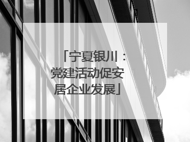 宁夏银川：党建活动促安居企业发展