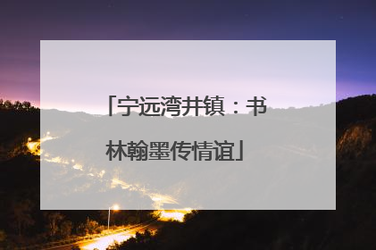 宁远湾井镇：书林翰墨传情谊