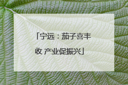 宁远：茄子喜丰收 产业促振兴