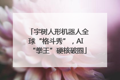 宇树人形机器人全球“格斗秀”，AI“拳王”硬核破圈