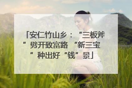 安仁竹山乡：“三板斧”劈开致富路 “新三宝”种出好“钱”景