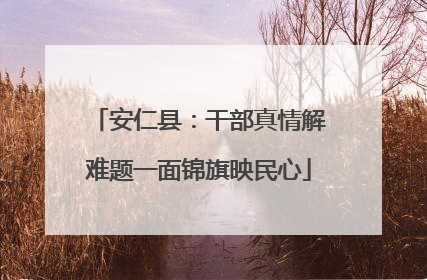 安仁县：干部真情解难题一面锦旗映民心