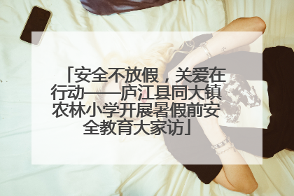 安全不放假，关爱在行动——庐江县同大镇农林小学开展暑假前安全教育大家访