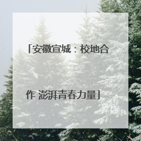 安徽宣城：校地合作 澎湃青春力量